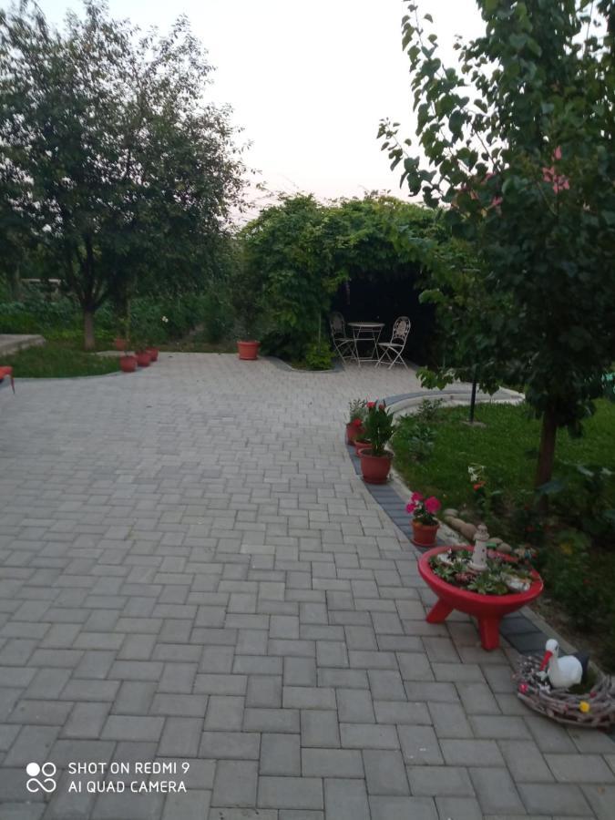 Agropensiunea Florina-Maria Branistea  Dış mekan fotoğraf