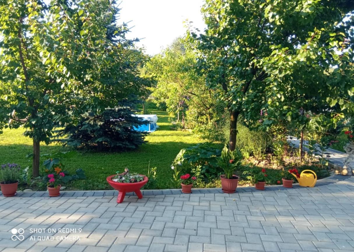 Agropensiunea Florina-Maria Branistea  Dış mekan fotoğraf