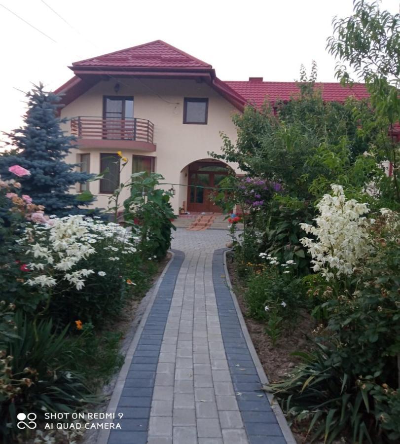 Agropensiunea Florina-Maria Branistea  Dış mekan fotoğraf