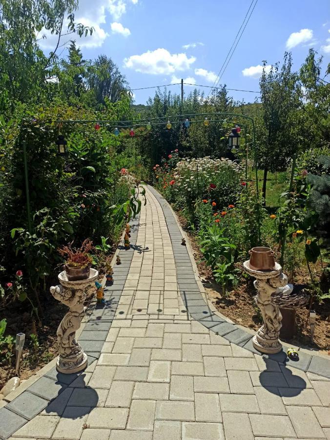 Agropensiunea Florina-Maria Branistea  Dış mekan fotoğraf